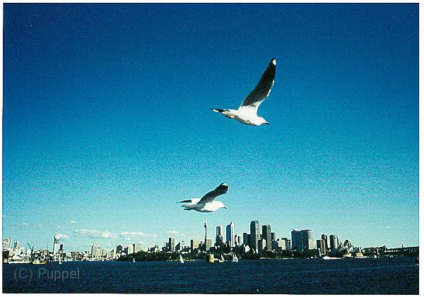 Australien 1998 D0520_s.jpg
